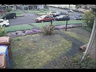 Tacoma Man with knife vs 2 attacking dogs