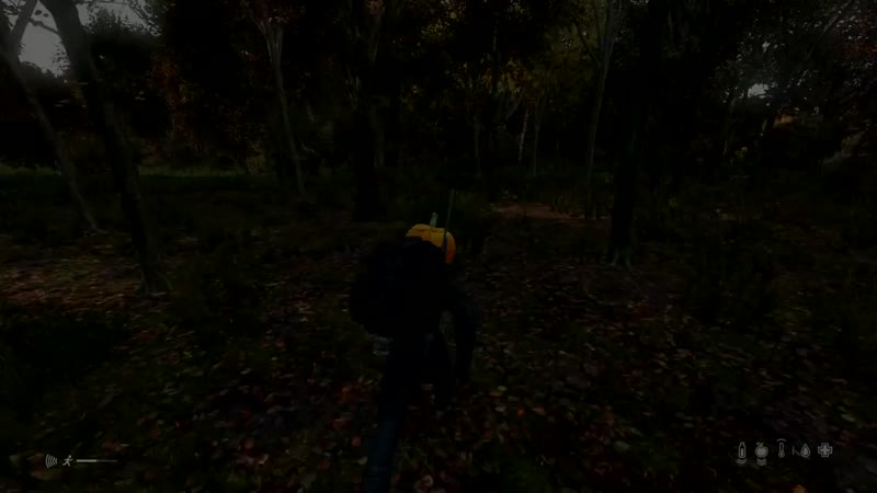 TOP Russian Dayz PS4 Рыцарь
