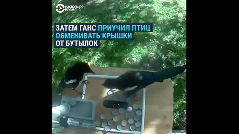 Такая