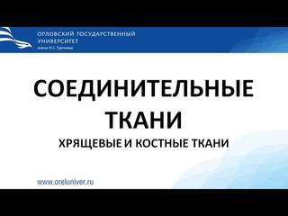 Хрящевые и костные ткани. Гистологические препараты