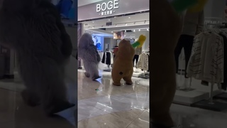 Когда с корешем на одну работу устроились  Прислали в телеграмме. Делюсь