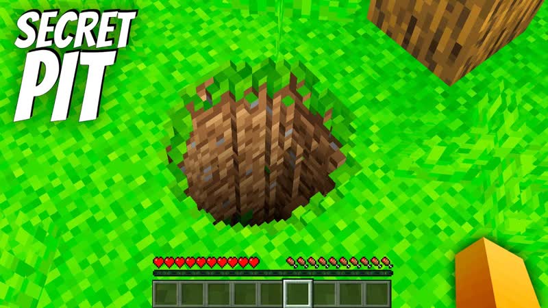 Who MADE the SECRET PIT in Minecraft I found a TINY SECRET PASSAGE SMALLEST