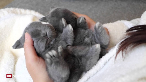 Sleepy Baby