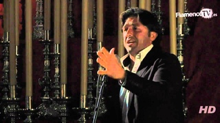 Manuel Cuevas - Ganador Exaltacin de la Saeta
