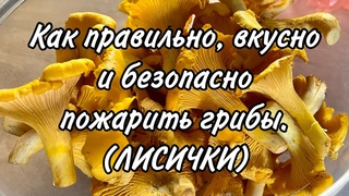 Как правильно, вкусно, безопасно приготовить грибы в сливочном соусе. Подойдёт к любому гарниру.
