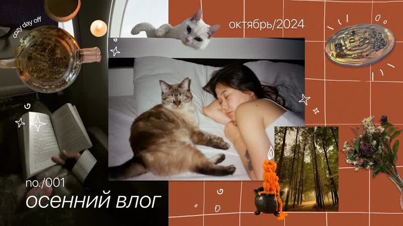 осенний влог отзыв о книге Три товарища , ,oct 2024, ,cozy day off, ,work,
