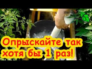 КОПЕЕЧНОЕ СРЕДСТВО ДЛЯ ОБРАБОТКИ СЕМЯН, РАССАДЫ, ТЕПЛИЦЫ и ВСЕГО САДА. Одна капля и все под защитой!