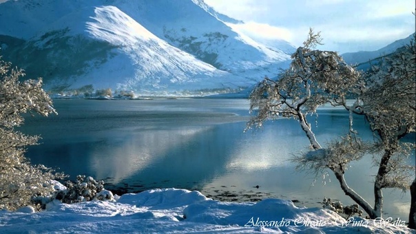 Alessandro Olivato Winter