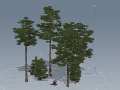 st_rmm_sosna112_10233_gr