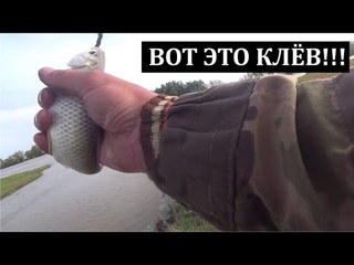 КЛЁВ КАК ИЗ ПУЛЕМЁТА - ВОБЛА ПРЁТ. Рыбалка в Астрахани 2024