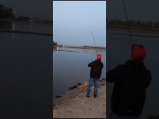 Борьба с трофеем. Монстр на крючке