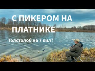 С пикером на платнике  Откуда толстолобик на 7 кил