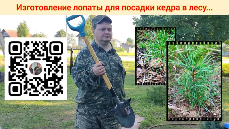 Изготовление лопаты для посадки кедров в лесу тест драйв