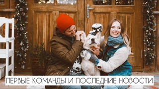 Золотистый ретривер | Первые команды | Намордник | Последние новости