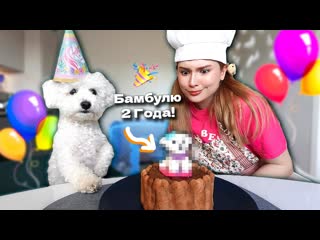 ПРИГОТОВИЛА ТОРТ для СОБАКИ день рождения Бамбуля