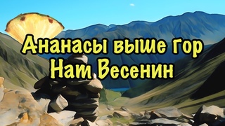 АНАНАСЫ ВЫШЕ ГОР. Нат Весенин. Читает Velvichia Wolf