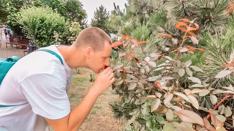 Прогулка по Анапе, Красивый и ухоженный город,