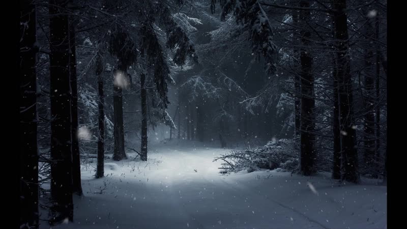 Looped Dark Winter