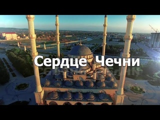 сердце Чечни