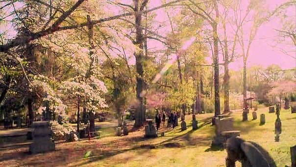 the vampire diaries, running up that