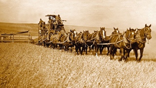 Horse-Drawn Combine (1938 year), Atlı biçerdöver 1938 yılına ait