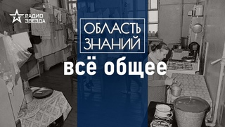 Как коммуналки стали коливингами Лекция искусствоведа Елизаветы Лихачёвой