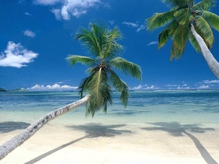 Sunny (Boney M cover)