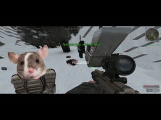 STALCRAFT  Ядерная зима в Сталкере