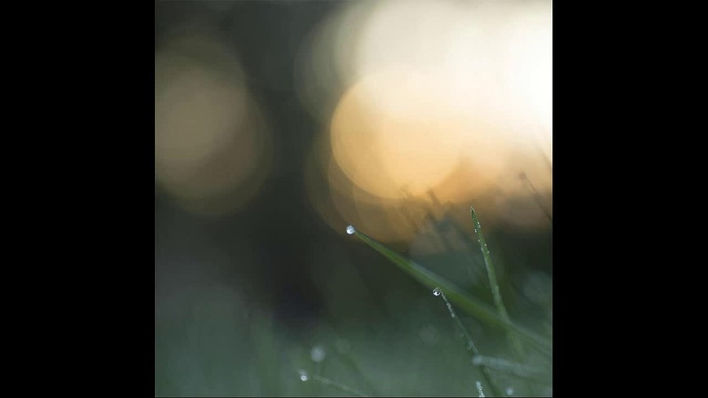 Purl Stillpoint ( Full Album