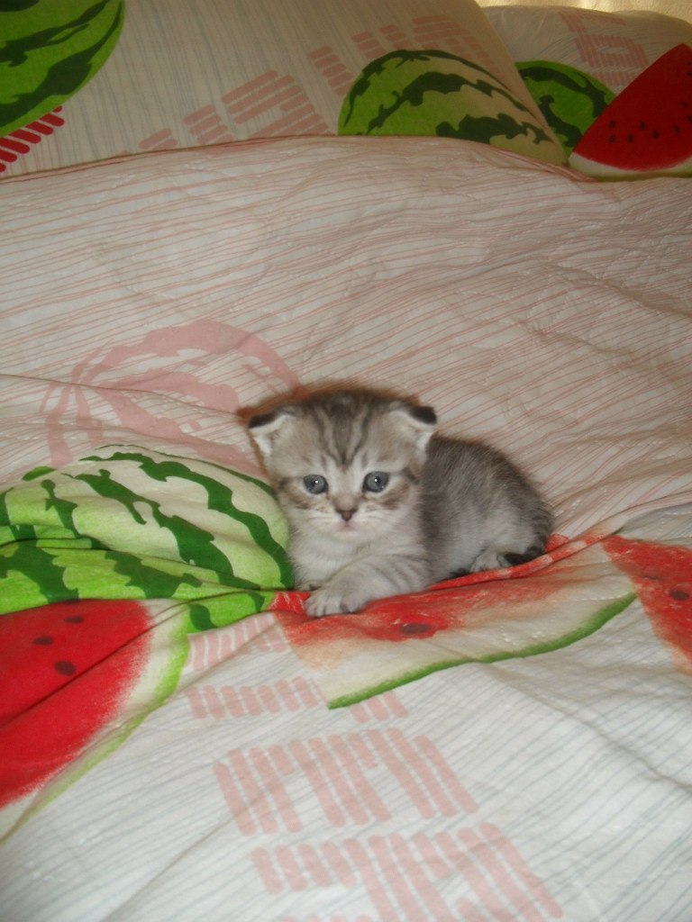 Катюшка Авдеева | Оренбург