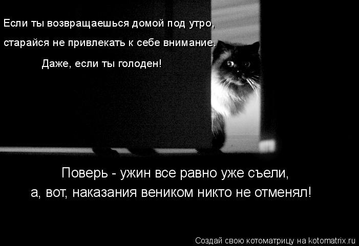 Максим Конов | Санкт-Петербург