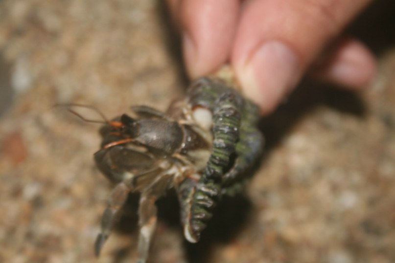 Денис Витман | Москва