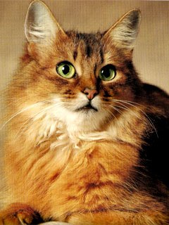 Тетяна Чура | Луцк