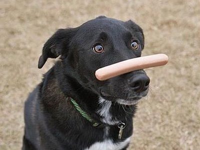 №48, Роман Константинов, 35 лет, Москва №48, Роман Константинов, 35 лет, Москва