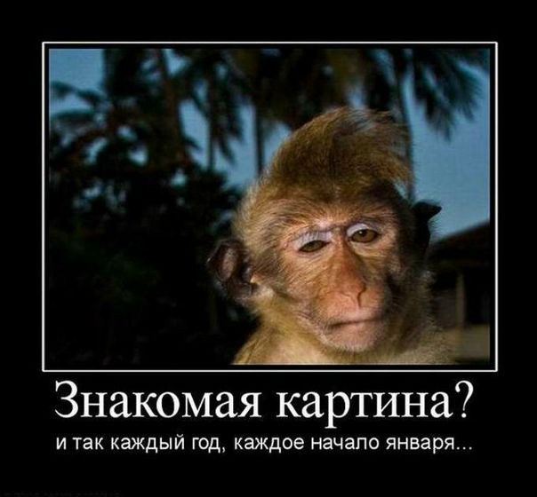 №4, Алексадр Пантелеев №4, Алексадр Пантелеев