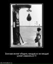 Фотография Алексей Бобнев
