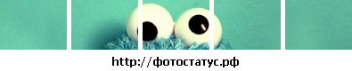 Фотография Макс Жигалов