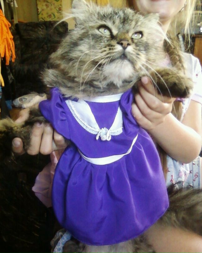 Елена Кабанова Александровна | Фурманов