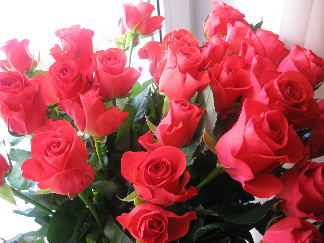 Марина Макова | Вологда