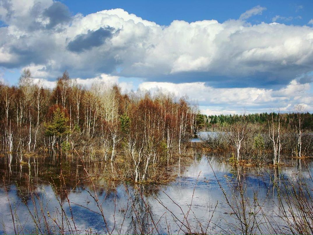Анна Кулешова | Сыктывкар