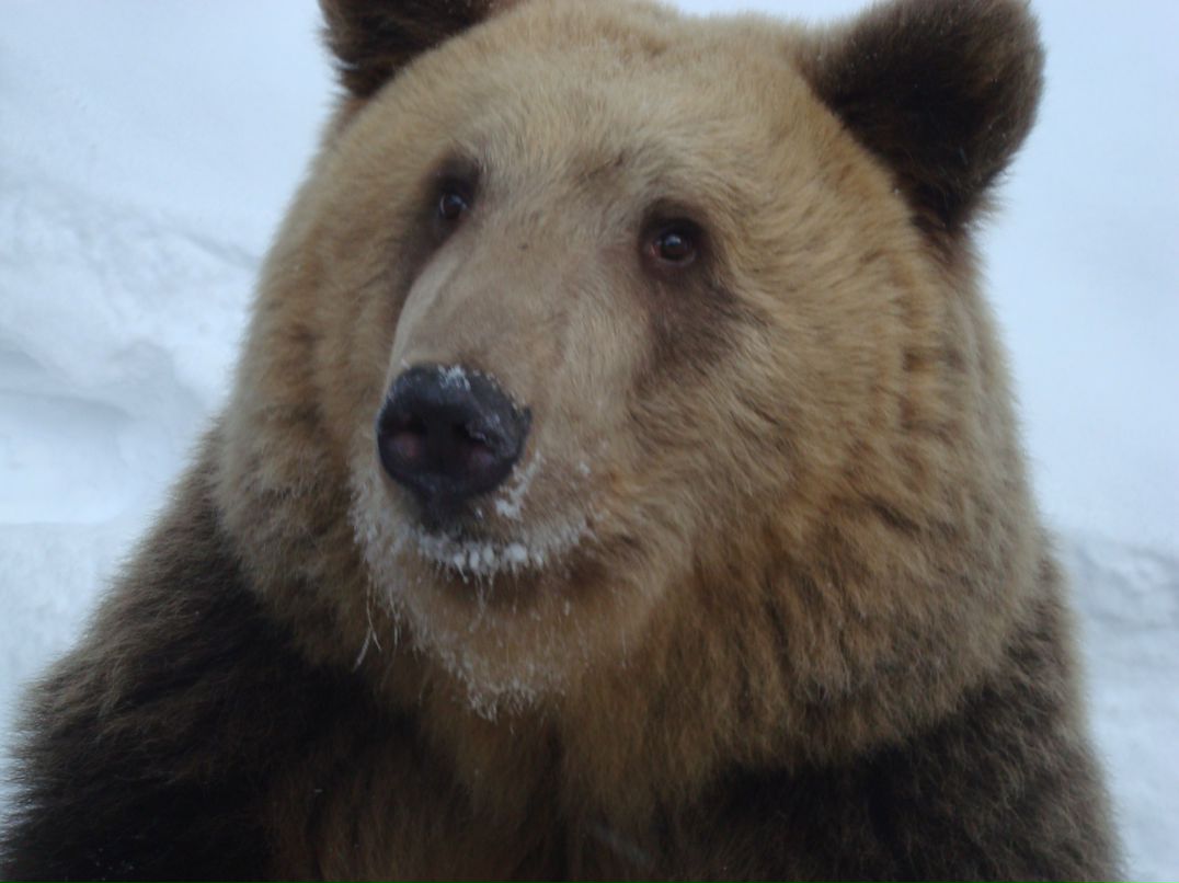 Павел Савочкин | Петрозаводск
