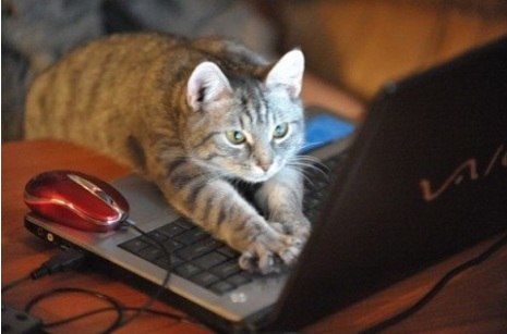 Назарій Кармелюк -Ult1matum- | Львов