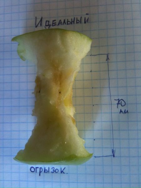 №85, Роман Белоусов №85, Роман Белоусов