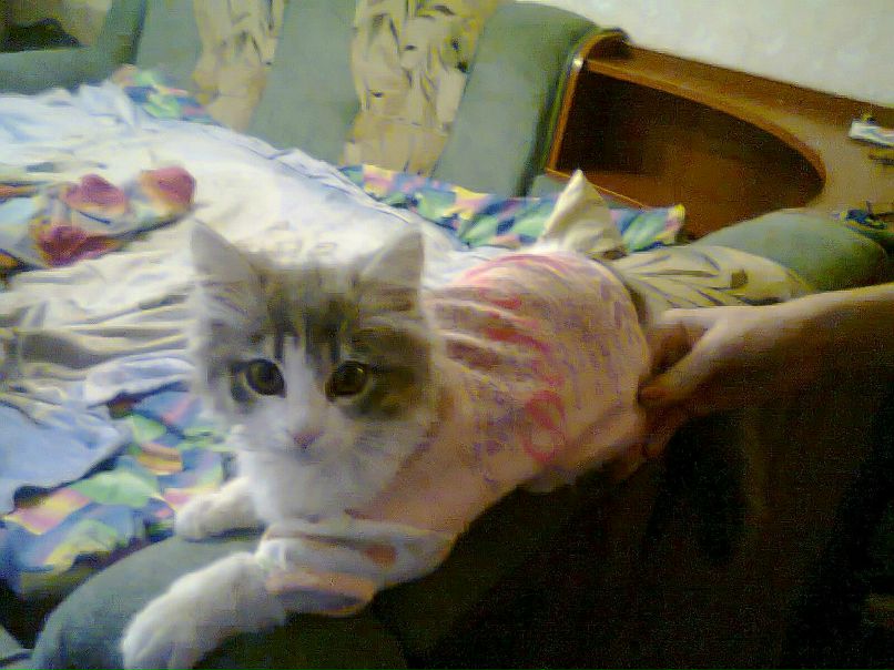 Марина Артамонова | Ярославль