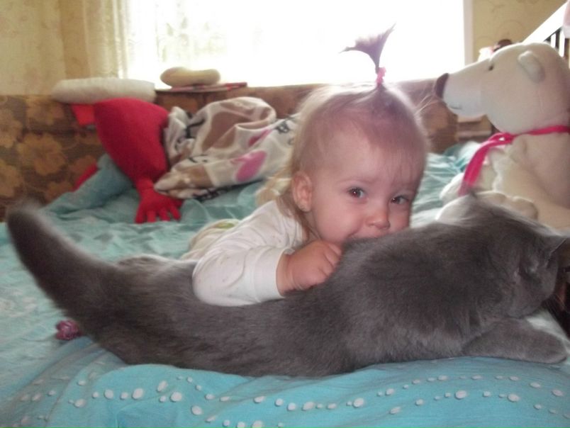 №64, Сергей Минеев, 41 год, Омск, Россия №64, Сергей Минеев, 41 год, Омск, Россия