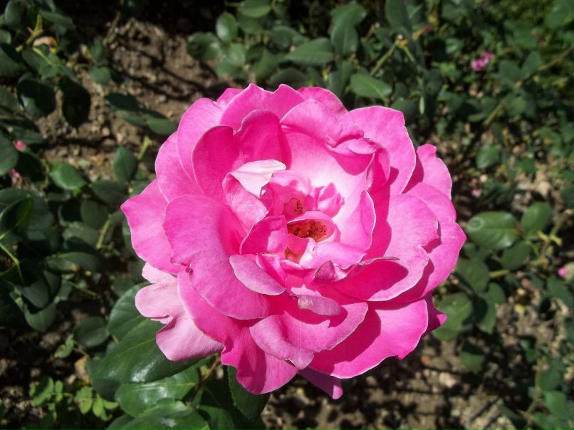 Алексей Зинюк | Бердянск