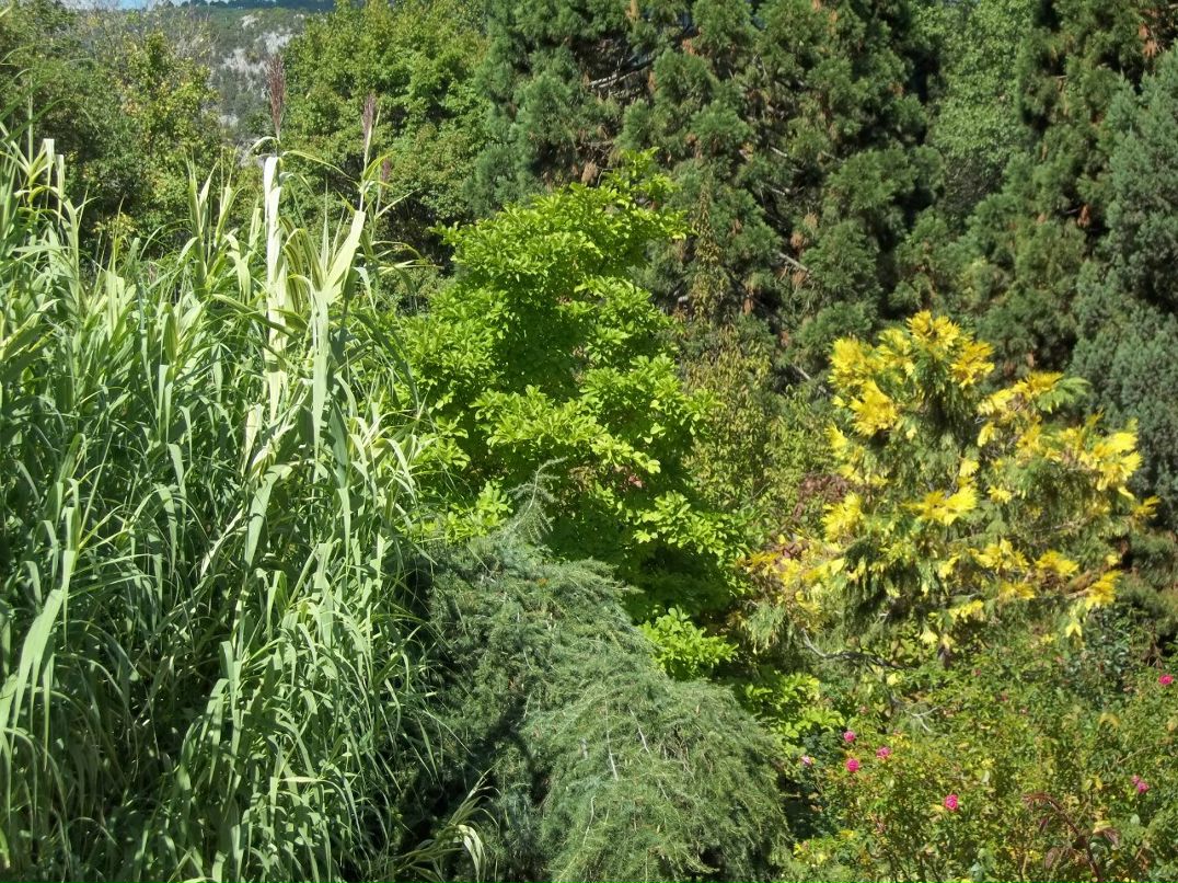 Алексей Зинюк | Бердянск