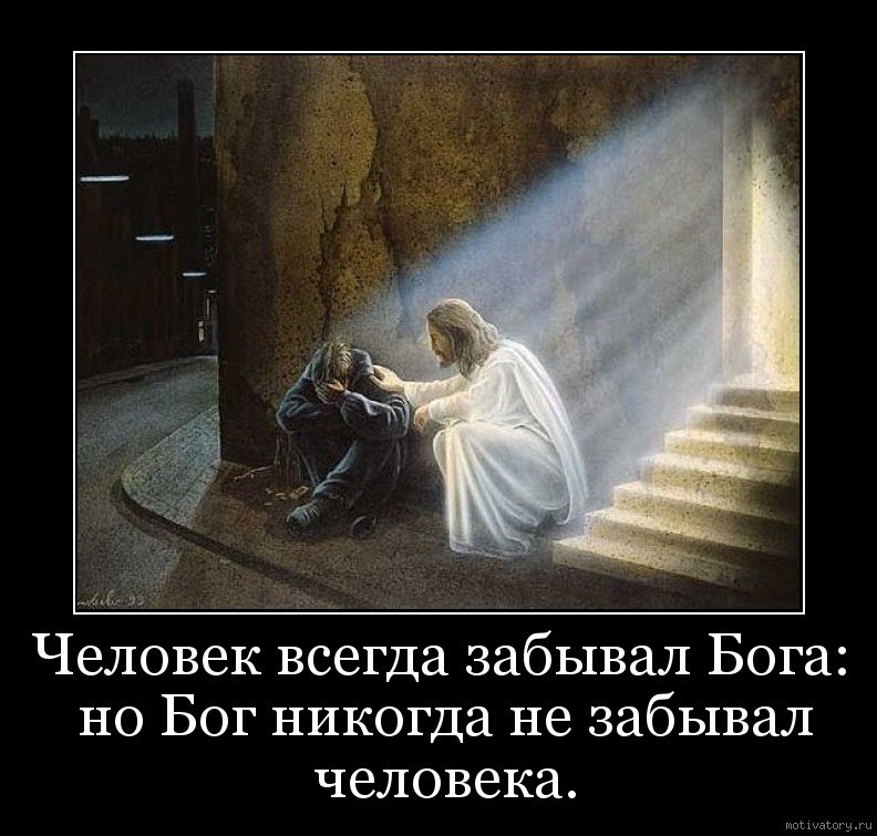 Капитан Очевидность | Волгоград