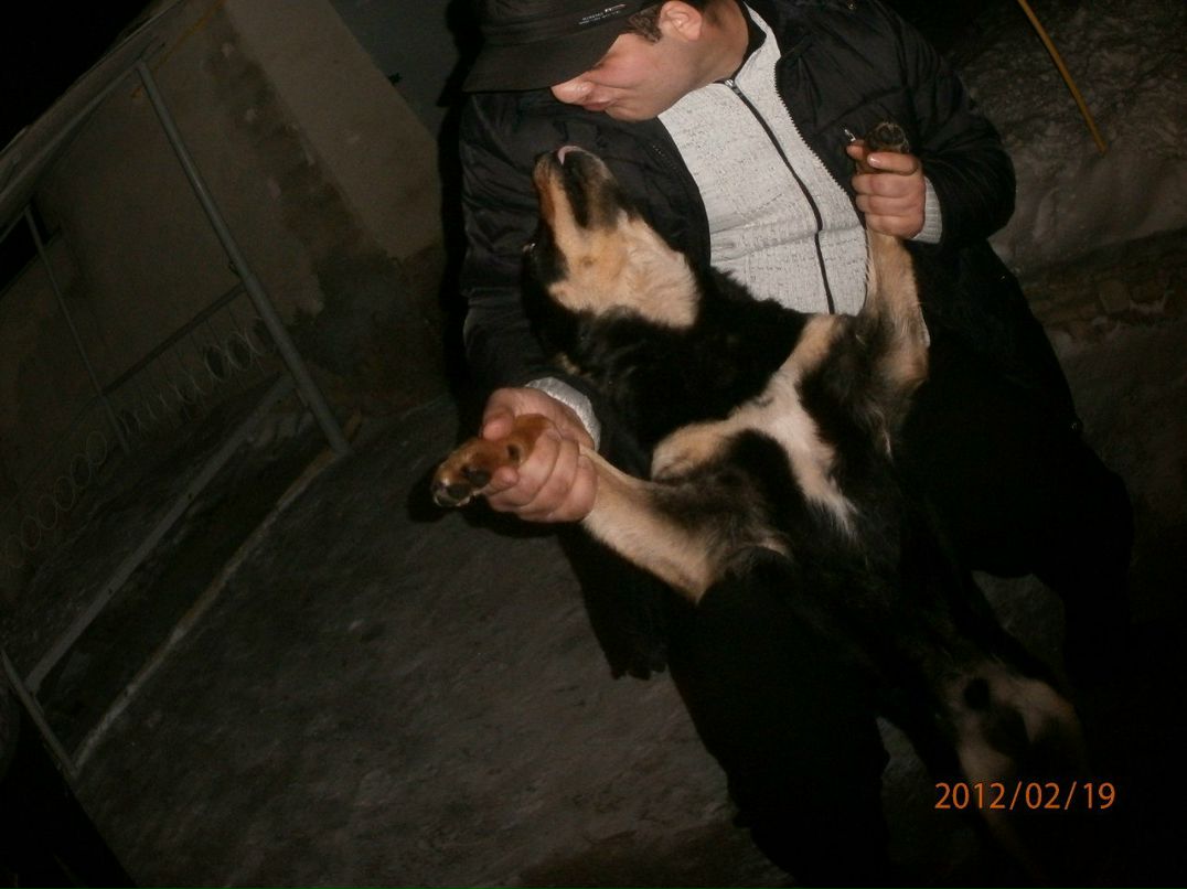 Ленур Зморка FOTO | Кировское