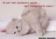 Фотография Наталья Герасимова